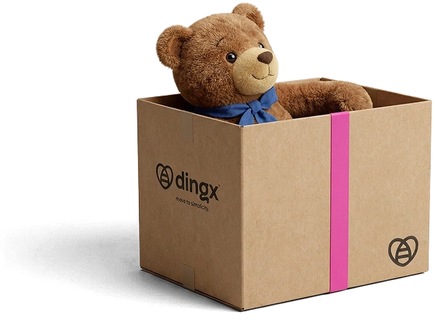 Ein Teddybär in einer dingx-Umzugskiste